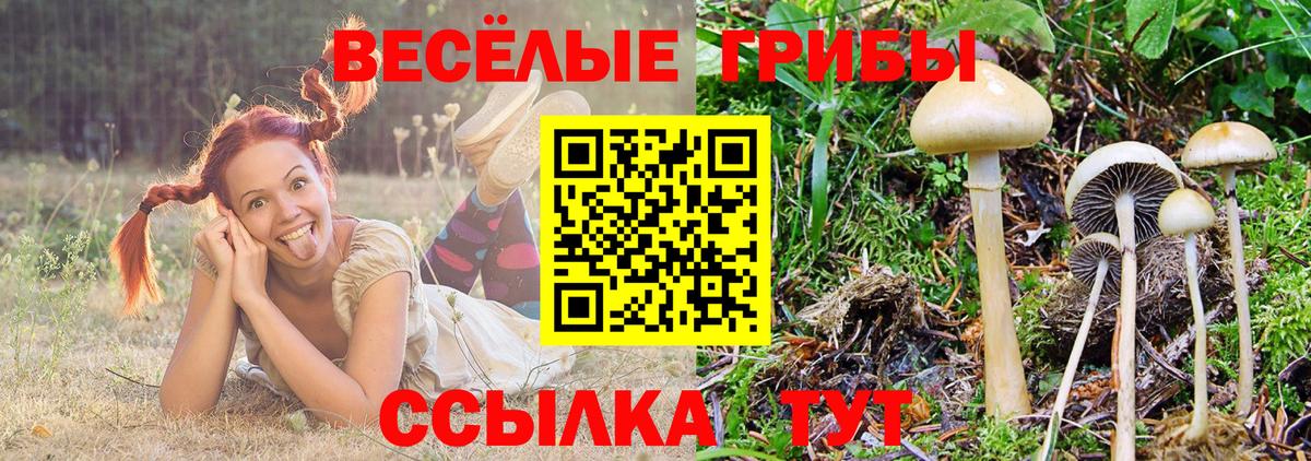 Галлюциногенные грибы мухоморы Белогорск